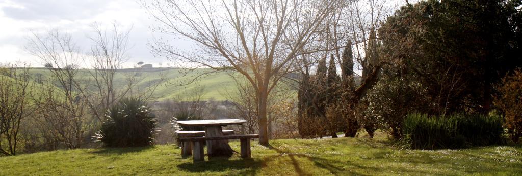 Agriturismo Castello Saltemnano Buonconvento Exteriör bild