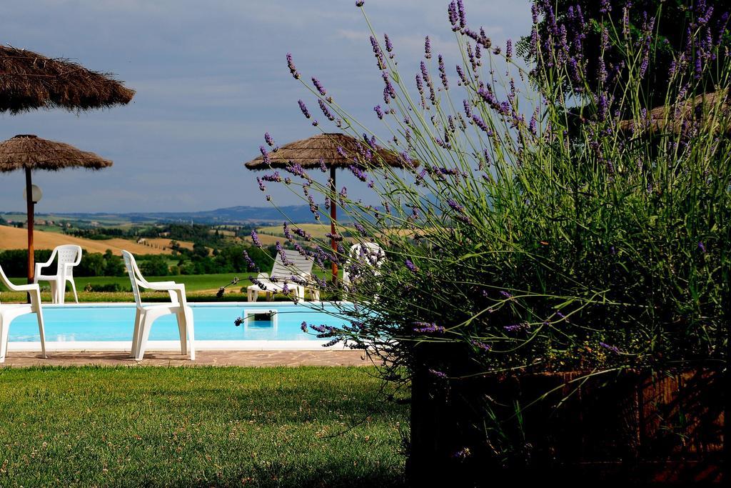 Agriturismo Castello Saltemnano Buonconvento Exteriör bild