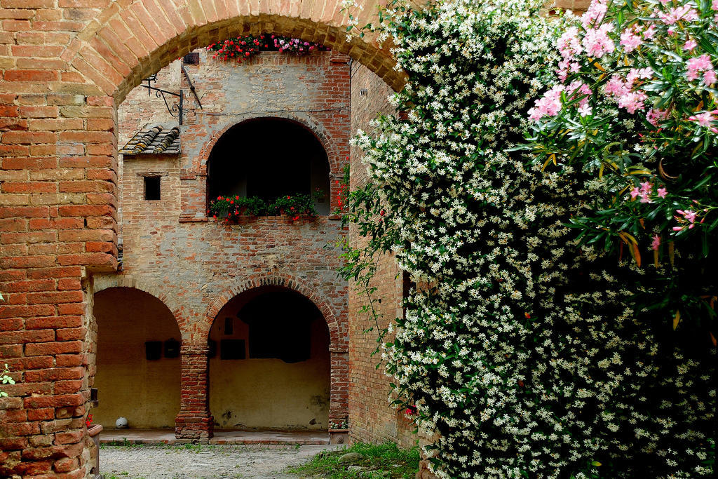 Agriturismo Castello Saltemnano Buonconvento Exteriör bild