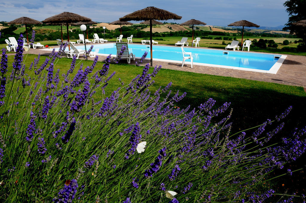 Agriturismo Castello Saltemnano Buonconvento Exteriör bild