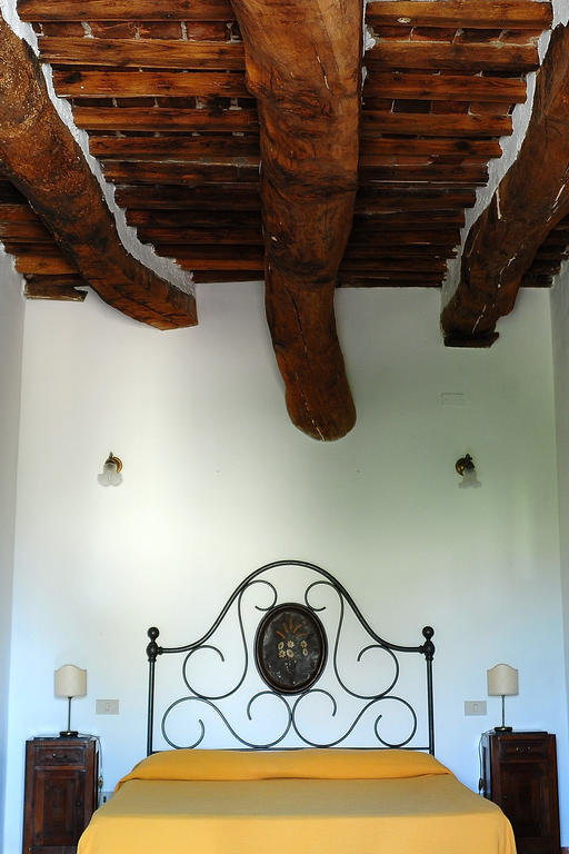 Agriturismo Castello Saltemnano Buonconvento Rum bild