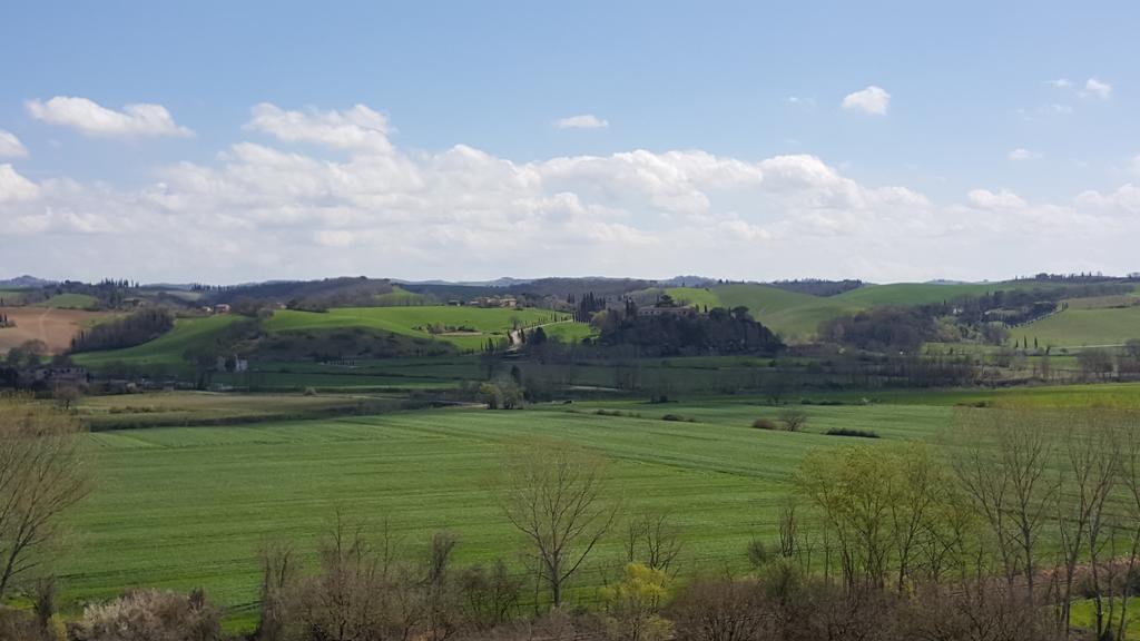 Agriturismo Castello Saltemnano Buonconvento Exteriör bild