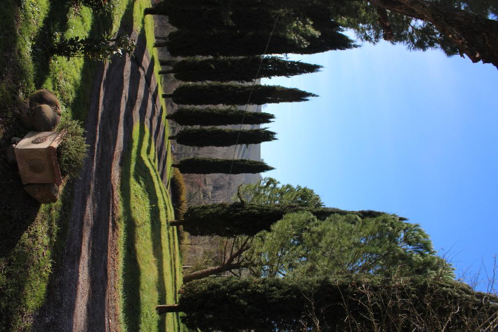 Agriturismo Castello Saltemnano Buonconvento Exteriör bild