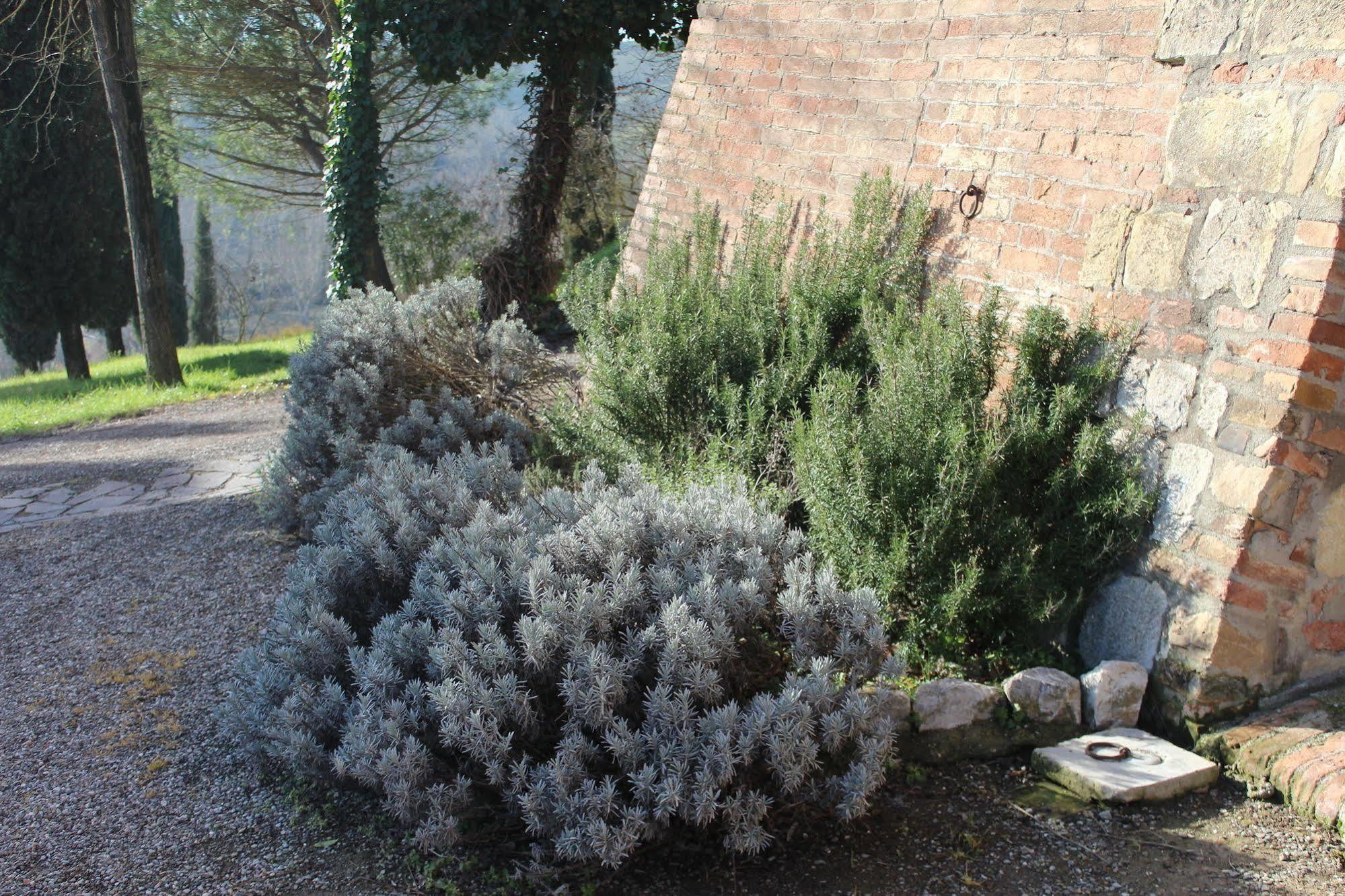 Agriturismo Castello Saltemnano Buonconvento Exteriör bild